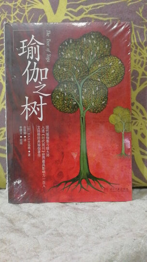 瑜伽之树 晒单图
