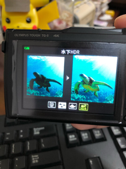 奥林巴斯（OLYMPUS）TG-5 抗震防水运动相机数码 TG5微距潜水照相机 户外旅游 4K视频摄像机 高清自拍 红色 晒单图