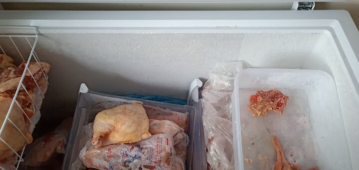 星星(XINGX) 256升 商用家用冰柜 冷冻冷藏转换冷柜 卧式单温冰箱 安全门锁 顶开门 BD/BC-256E 晒单图