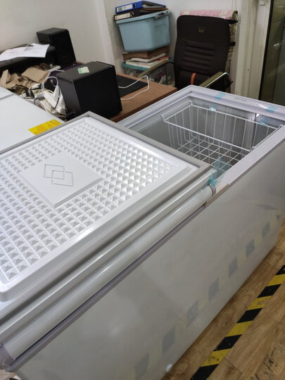 星星(XINGX) 305升 商用单温冰柜 单箱变温冰箱 冷藏冷冻蝴蝶玻璃门冷柜 BD/BC-305EH 晒单图
