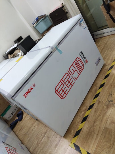 星星(XINGX) 305升 商用单温冰柜 单箱变温冰箱 冷藏冷冻蝴蝶玻璃门冷柜 BD/BC-305EH 晒单图