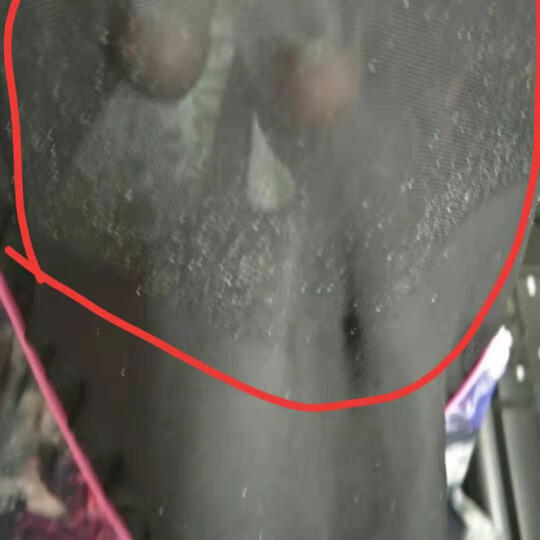 英发(YINGFA) 英发(yingfa)泳衣女连体平角游泳衣 温泉保守大码遮肚泳衣 1619-1桔 XXL 晒单图