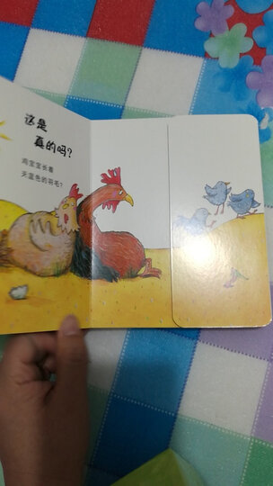 宝宝认知发展纸板书:这是真的吗?(套装共三册) 尚童童书出品 晒单图