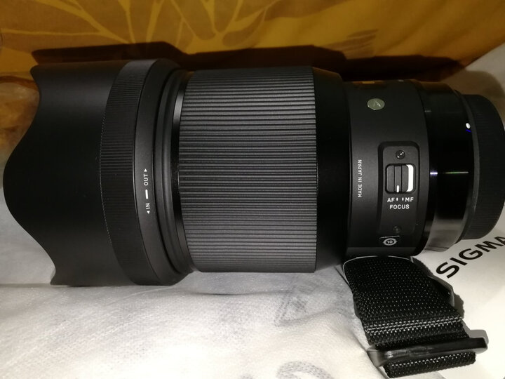 适马(SIGMA)ART 85mm F1.4 DG HSM 全画幅 大光圈定焦镜头 人像肖像特写(佳能单反卡口) 晒单图