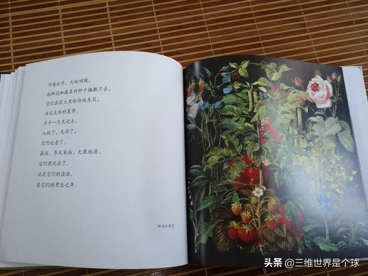 国际绘本大师罗伯特·英潘:有生之年:用优美的语言讲述生命的开始与结束(启发童书馆出品) 晒单图