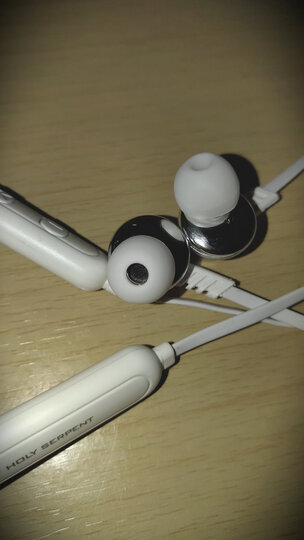 【京东秒杀】蛇圣 无线运动蓝牙耳机 入耳式耳塞重低音跑步降噪耳机苹果华为小米通用 黑色升级款蓝牙5.0 晒单图