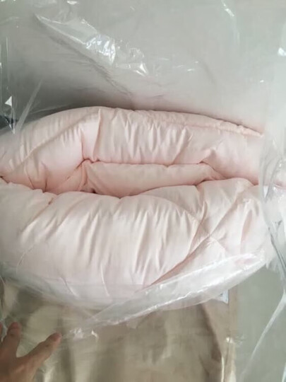 水星家纺 加厚冬被子被芯 克洛怡抗菌七孔冬被太空纤维被 粉色/多色可选 加大双人被220*240cm 晒单图