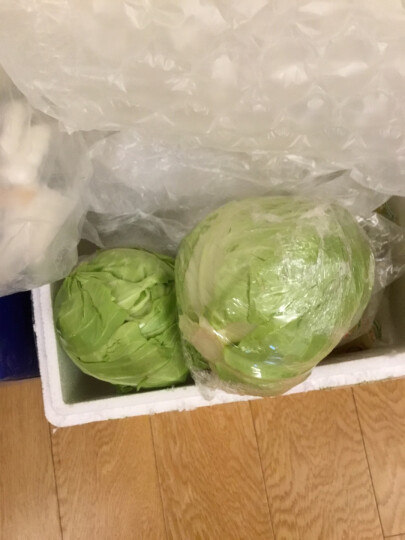 密园小农 大头菜密云本地圆白菜 新鲜蔬菜1500g 晒单图