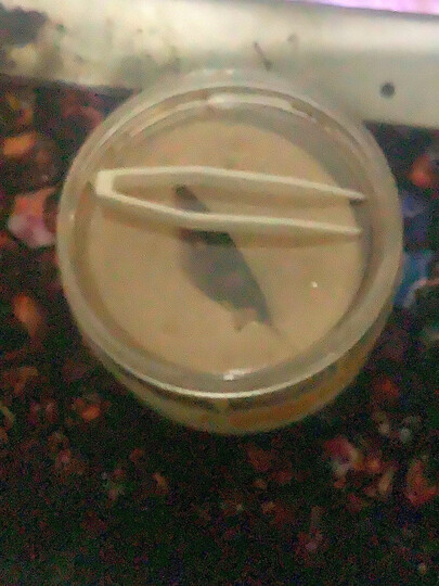 御泥坊 海洋弹性蛋白矿物精华眼霜25g(提拉紧致 淡化细纹眼袋 眼部护理) 晒单图