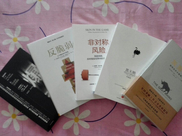 灰犀牛:如何应对大概率危机 晒单图