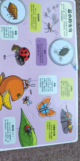小小探险家翻翻书:身体认知篇(套装共2册) 晒单图