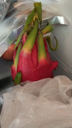 乐芝牛 芝士小食系列再制干酪(经典原味)24粒 125g/盒 晒单图