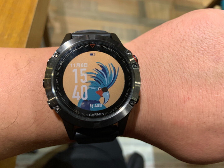 佳明(GARMIN)Fenix5光学心率GPS多功能北斗气压高度计三星定位登山跑步智能运动手表游泳户外中文普通版 晒单图
