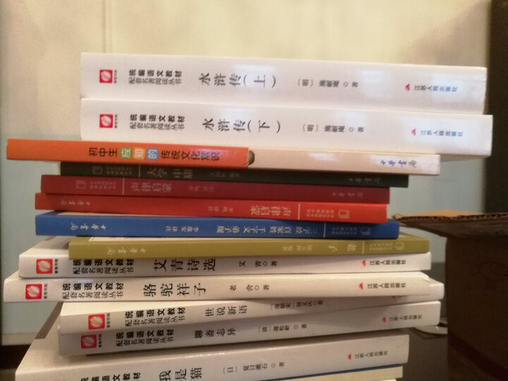 卓娅和舒拉的故事(插图版 全译本)/译林名著精选 晒单图