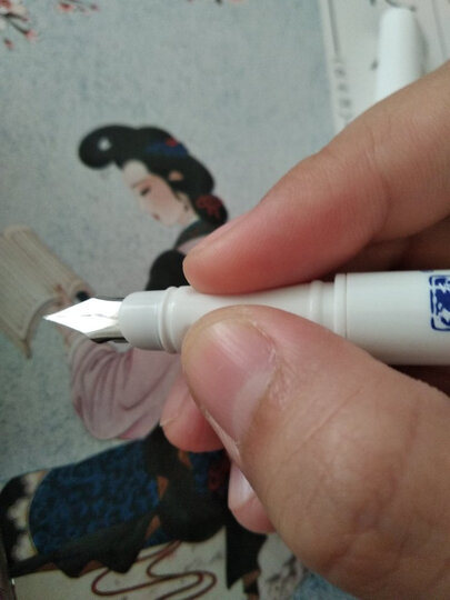 南国书香 仓央嘉措诗集簪花 硬笔小楷书法钢笔成人楷书字帖练字帖 晒单图
