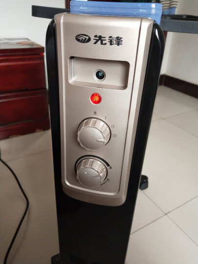 先锋(Singfun)取暖器电暖器电暖气片家用电热油汀13片全屋速暖低噪节能烘衣加湿DYT-Z2 晒单图