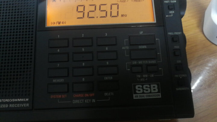 德生(Tecsun)PL-118 收音机 老年人 校园广播 袖珍 便携式 调频FM 老人立体声半导体 开关机闹钟(黑色) 晒单图