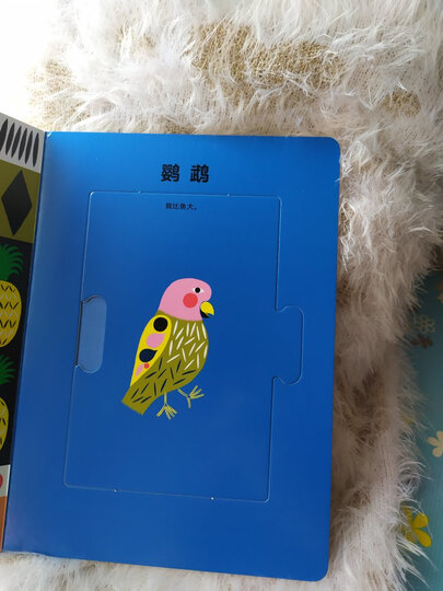 0-3岁小宝贝成长图画书·小手翻翻书(套装 全6册) 晒单图