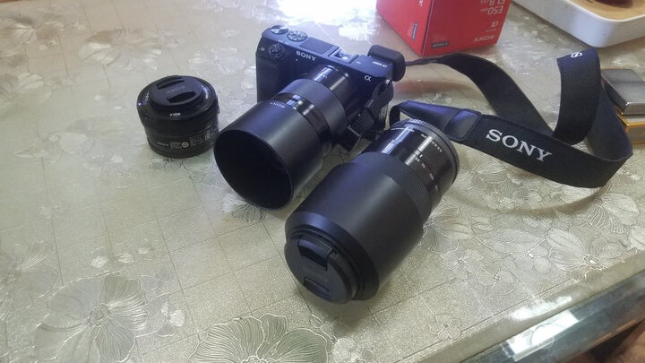索尼(SONY)E 50mm F1.8 OSS APS-C画幅定焦镜头(SEL50F18)黑色 晒单图