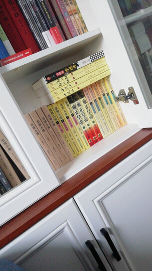 维多利亚女王时代(全景插图版) 晒单图