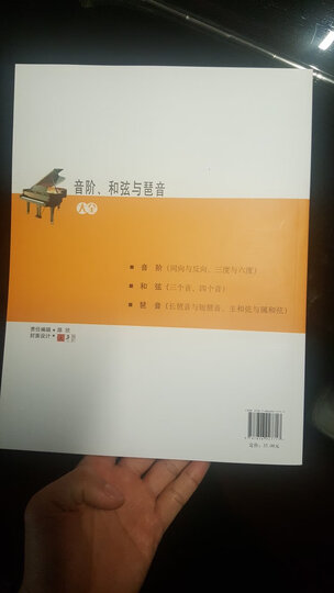 音阶、和弦与琶音大全 晒单图