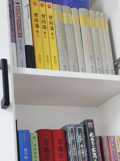 维多利亚女王时代(全景插图版) 晒单图