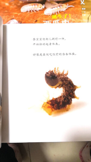 亲亲科学图书馆(第1辑套装共10册) 晒单图
