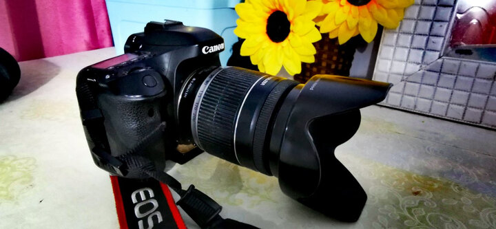 佳能（Canon）EOS 80D 单反相机 单反套机（EF-S 18-200mm f/3.5-5.6 IS 单反镜头） 晒单图