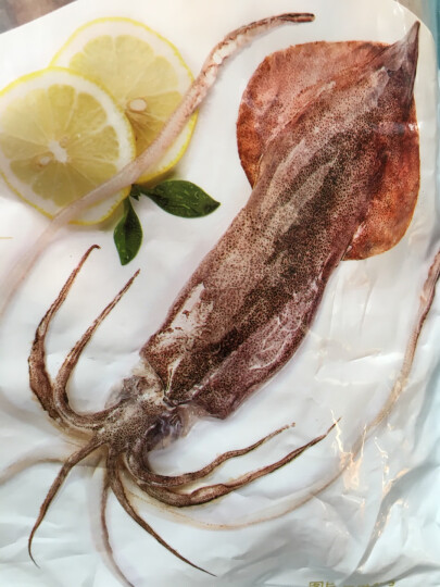 獐子岛 冷冻整条鱿鱼 500g 3-5条 火锅烧烤食材 海鲜 生鲜 晒单图