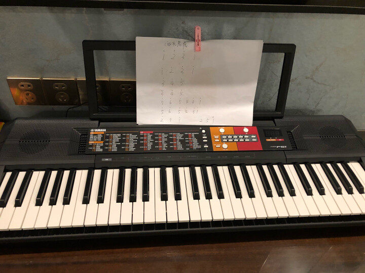 雅马哈（YAMAHA）PSR-E263 儿童成人初学入门学习娱乐电子琴61键 晒单图