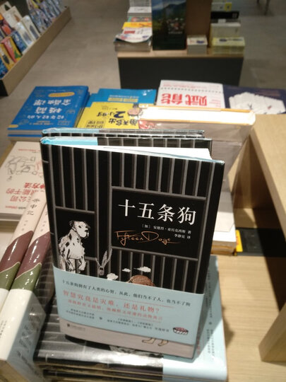 通宵小说肯·福莱特悬疑经典:燃烧的密码 晒单图