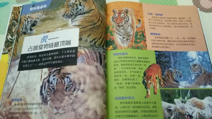 彩书坊 晚安经典 :三国演义 晒单图