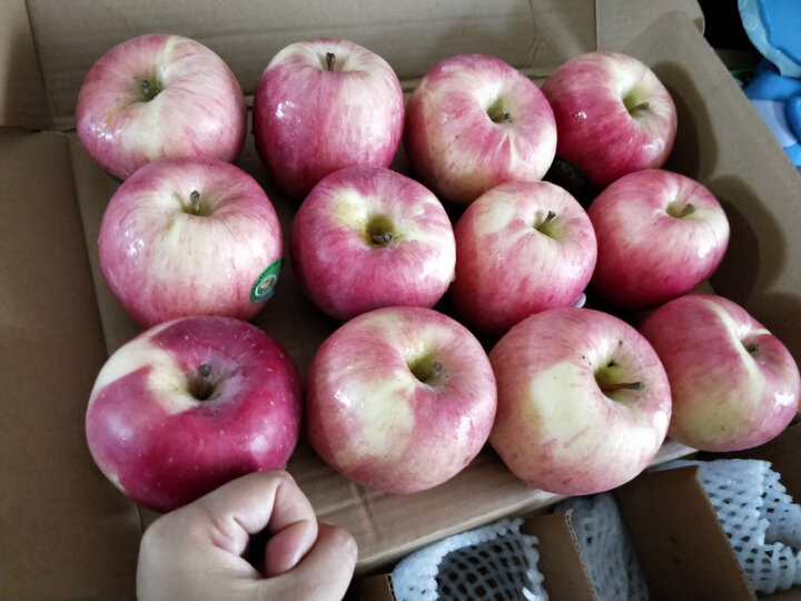 京鲜生甘肃静宁红富士苹果6粒 单果160-200g 水果 包装随机 晒单图