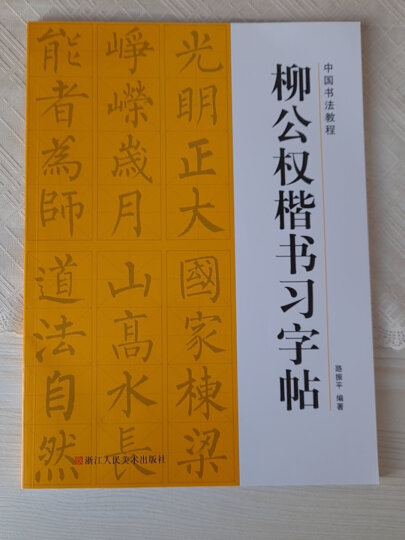 中国书法教程：怀素草书习字帖 晒单图