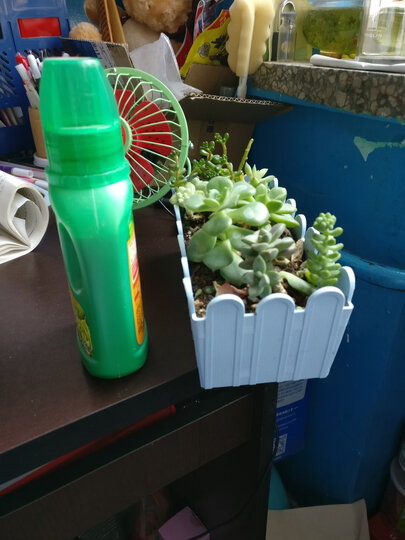 美乐棵 蔬果型营养液250ML/瓶 家庭园艺肥料 园艺种植液料 阳台菜盆蔬果瓜果浓缩营养液 晒单图