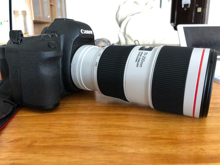 佳能（Canon） EF 17-40mm f/4L USM 广角变焦镜头 晒单图