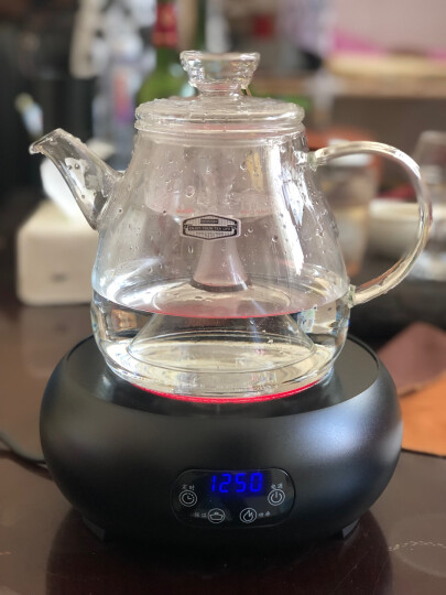 友茗堂友茗堂 电陶炉电茶炉家用煮茶器烧水茶具不挑壶光波电磁炉1001 黑色+耐热玻璃壶 晒单图