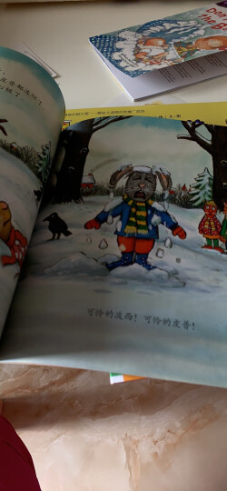 小小聪明豆绘本·波西和皮普：下雪天 晒单图
