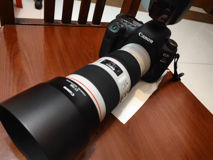 佳能(Canon)EOS 5D Mark IV 5D4 单反相机 单反机身 全画幅(约3040万像素 双核CMOS 4K短片 WiFi/NFC) 晒单图