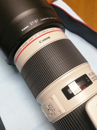 佳能（Canon）EF 50mm f/1.8 STM 单反镜头 标准定焦镜头 晒单图