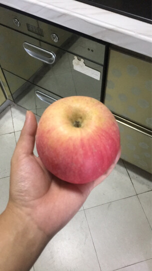 文果 烟台红富士苹果 大个15个 约4.5kg 新鲜水果 新年礼物 晒单图