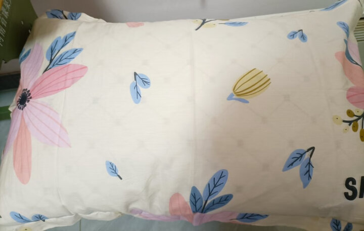 花熙雨（Huaxiyu）（纯棉枕套+枕芯）纯棉单人枕芯枕头套装 学生宿舍单个枕头加枕套 简笔画(枕套1件+枕芯1件) 晒单图