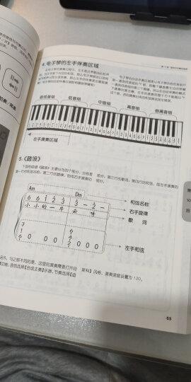 流行与经典：电子琴简谱+五线谱精选曲集（大字大音符版）(优枢学堂出品) 晒单图