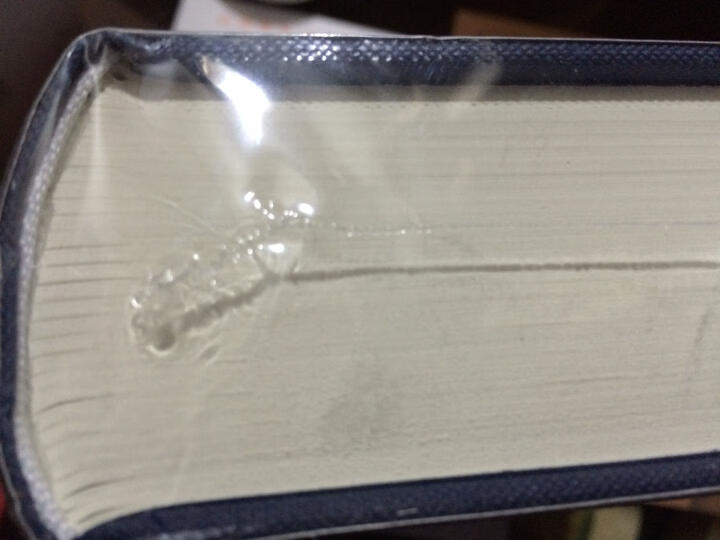 两希文明哲学经典译丛:论凝思的生活 晒单图