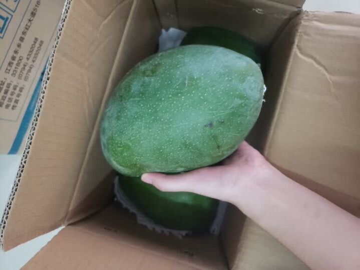 【四川扶贫馆】大青芒果 带箱5斤/箱 单果400-1500g 热带水果生鲜 晒单图