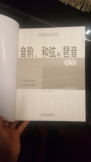 音阶、和弦与琶音大全 晒单图