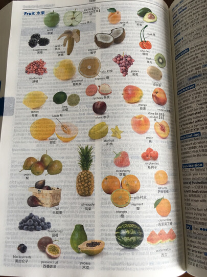 朗文·外研社·新概念英语4:流利英语 晒单图