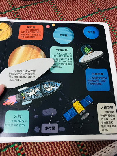 小小探险家翻翻书:身体认知篇(套装共2册) 晒单图