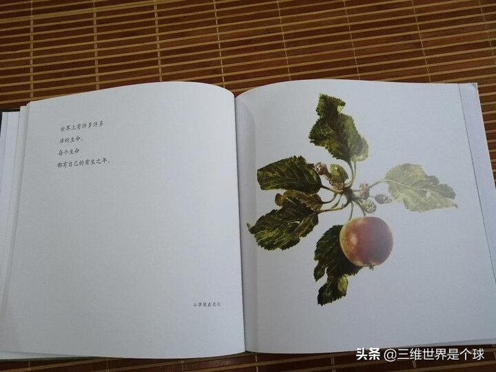 国际绘本大师罗伯特·英潘:有生之年:用优美的语言讲述生命的开始与结束(启发童书馆出品) 晒单图
