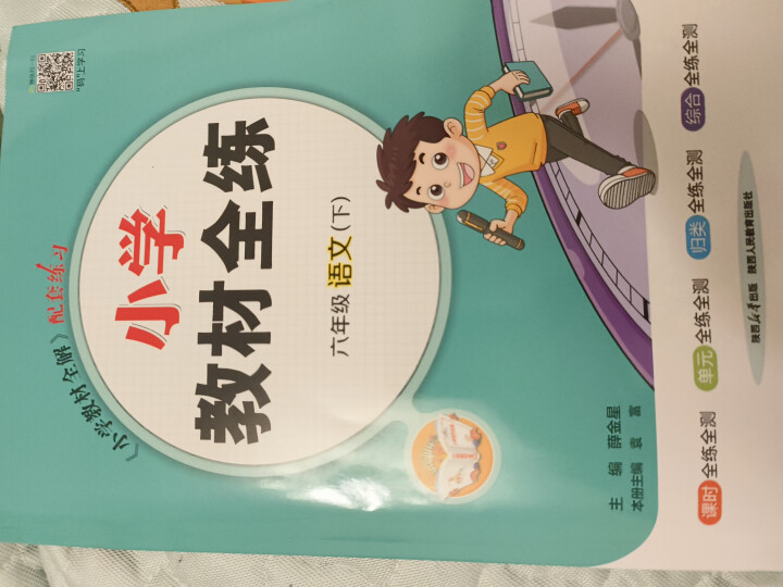 2024春小学教材全练六年级下册语文人教版同步课本训练六6年级下课课练教材全解配套练习册练习题内附测试卷 薛金星 晒单图